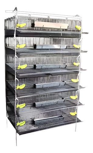 Jaula Codornices 250 Aves Completamente Equipada