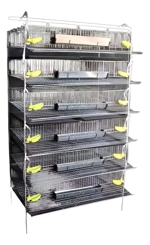 Jaula Codornices 250 Aves Completamente Equipada_0